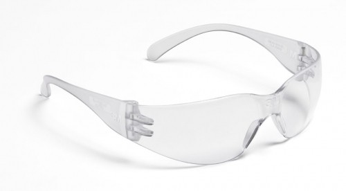 Óculos de Proteção Virtua Transparente
